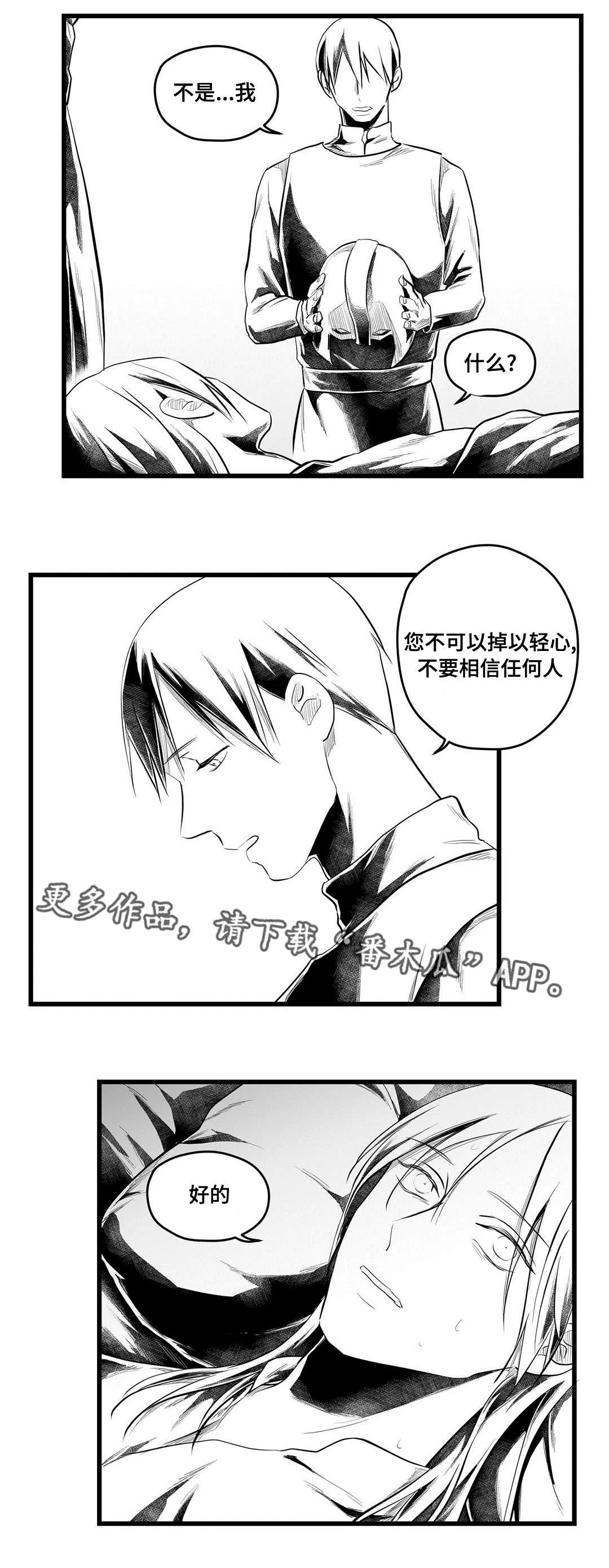 巫师与王子漫画漫画,第55章：爱上1图