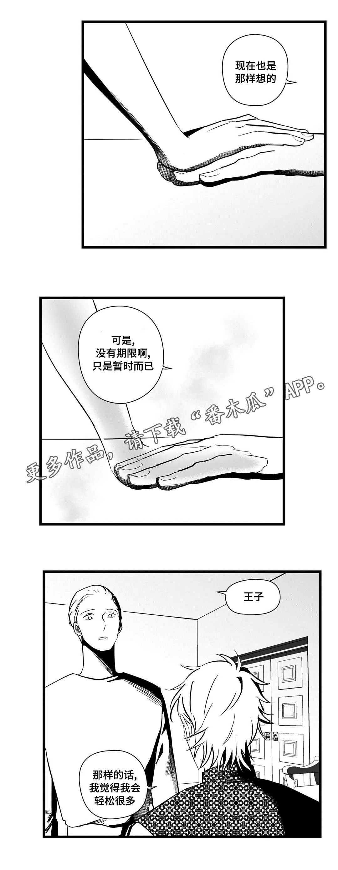 巫师与王子漫画漫画,第22章：确认13图