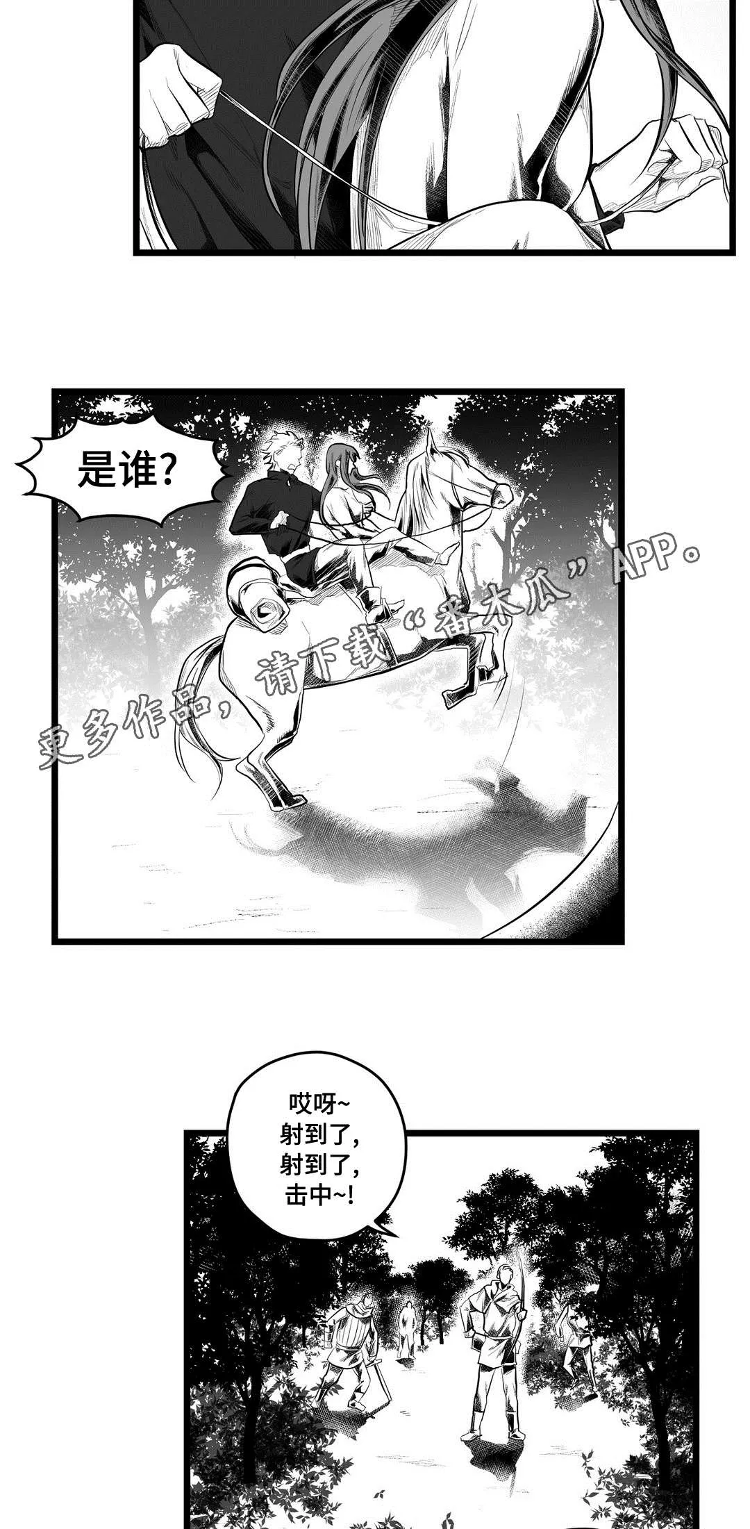 巫师与王子漫画漫画,第85章：遇袭19图