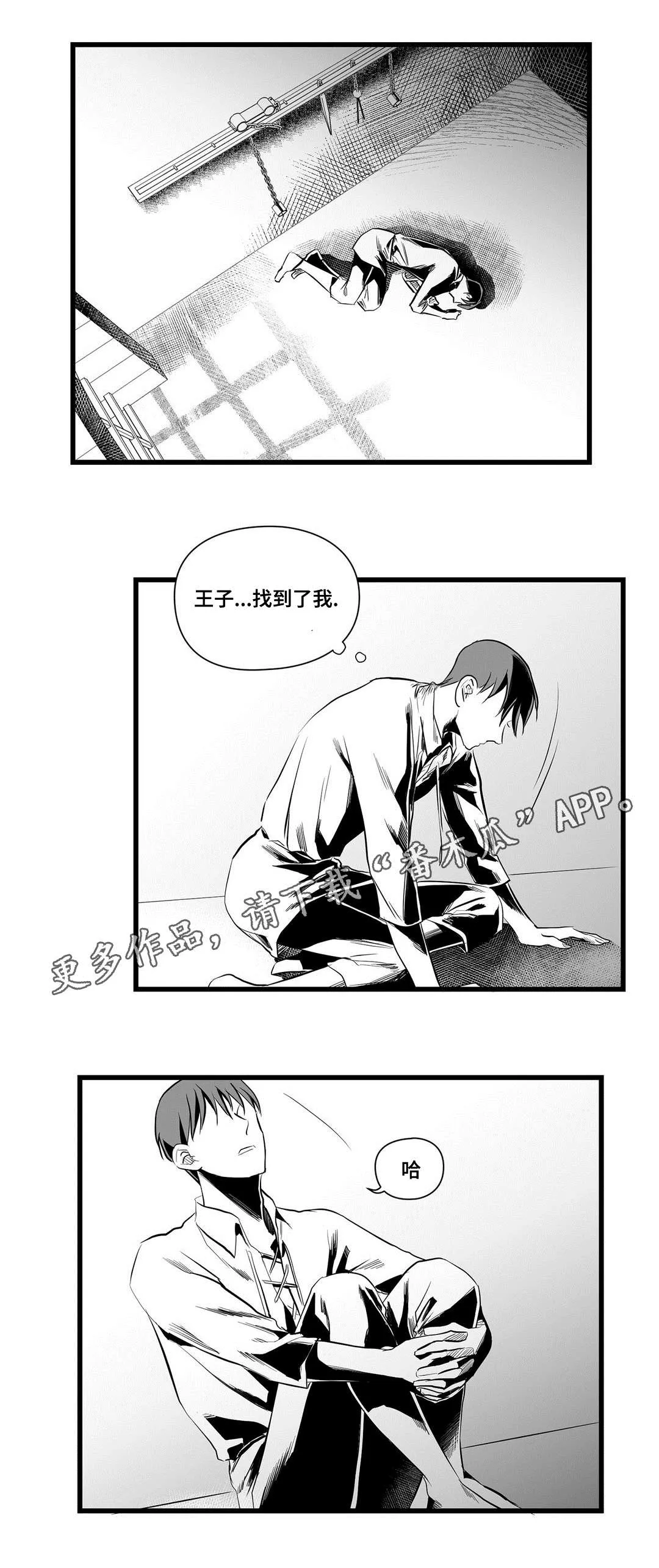 巫师与王子漫画漫画,第36章：隐瞒着什么9图