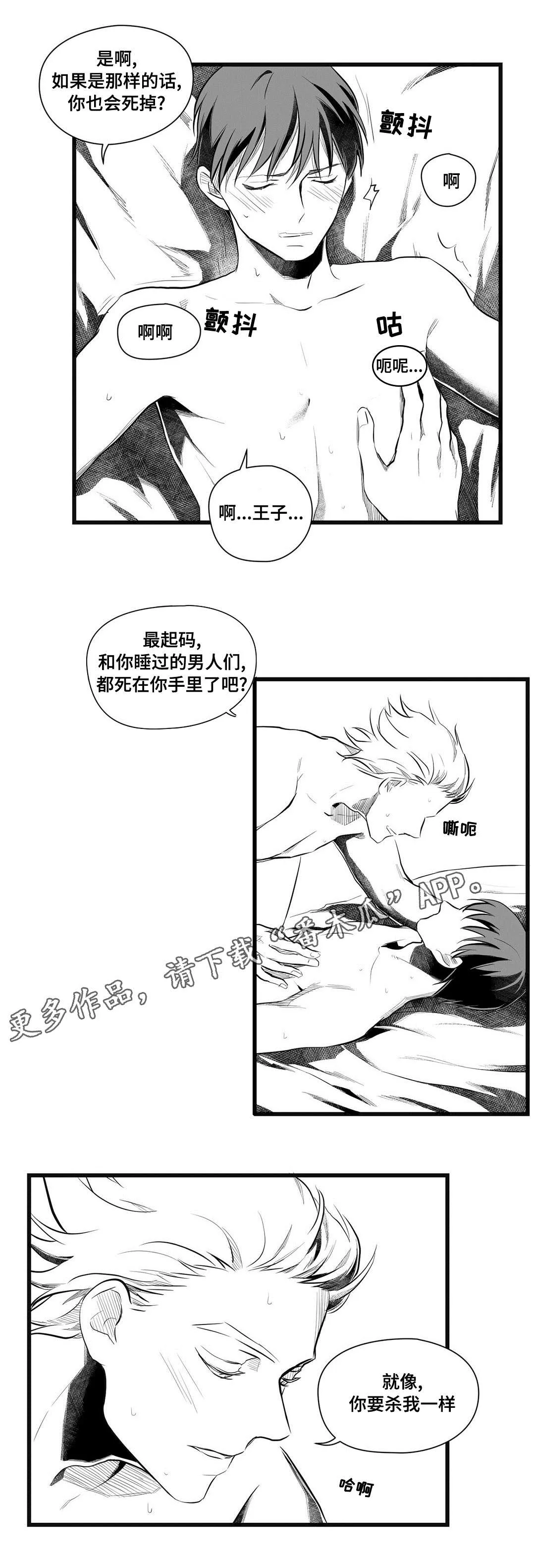 巫师与王子漫画漫画,第49章：守护12图