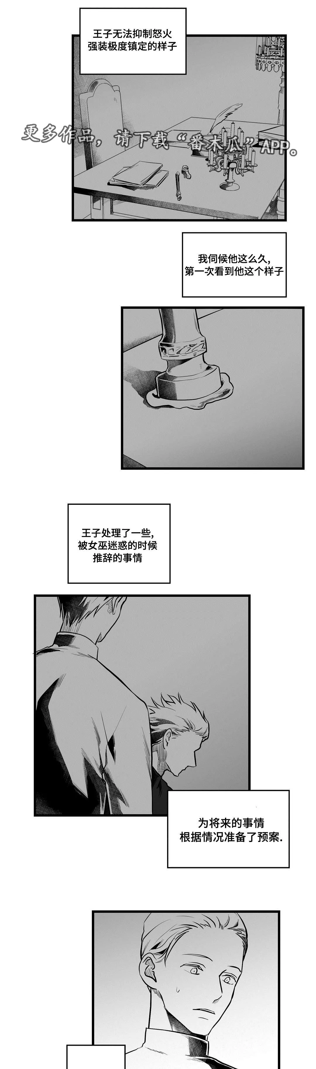 巫师与王子漫画漫画,第57章：山雨欲来10图