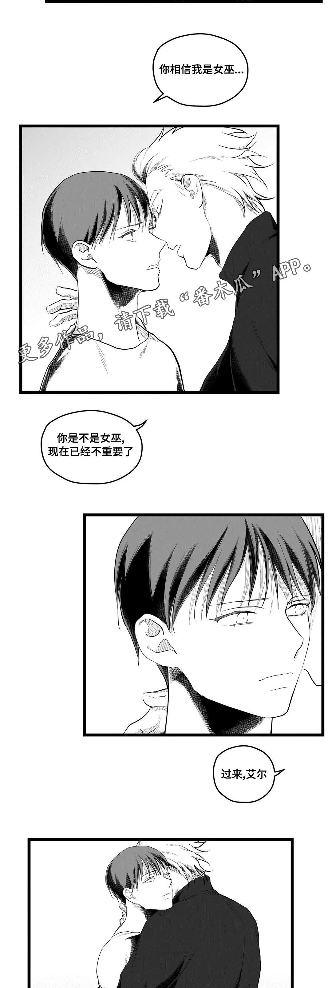 王子与巫师漫画漫画,第80章：骗子14图