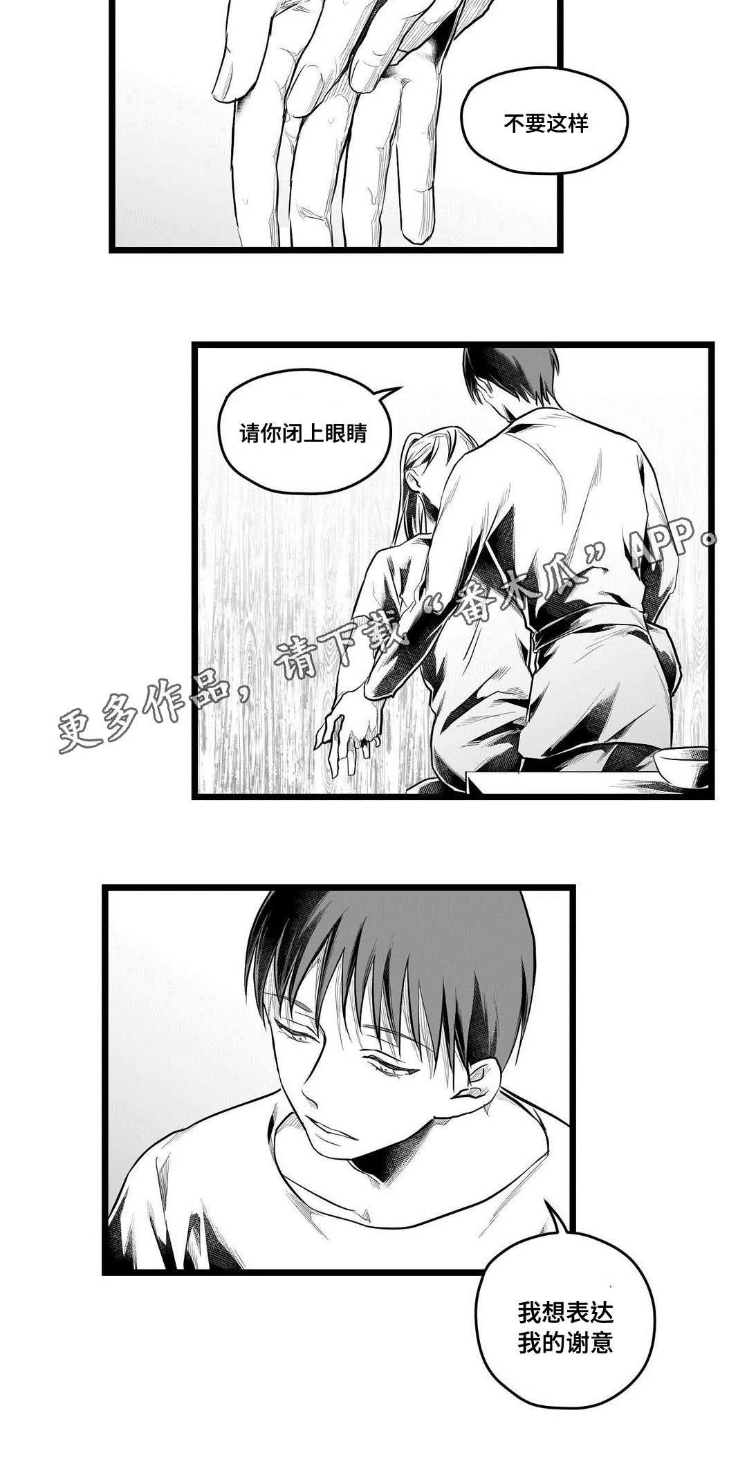 巫师与王子漫画免费观看漫画,第60章：谢意18图