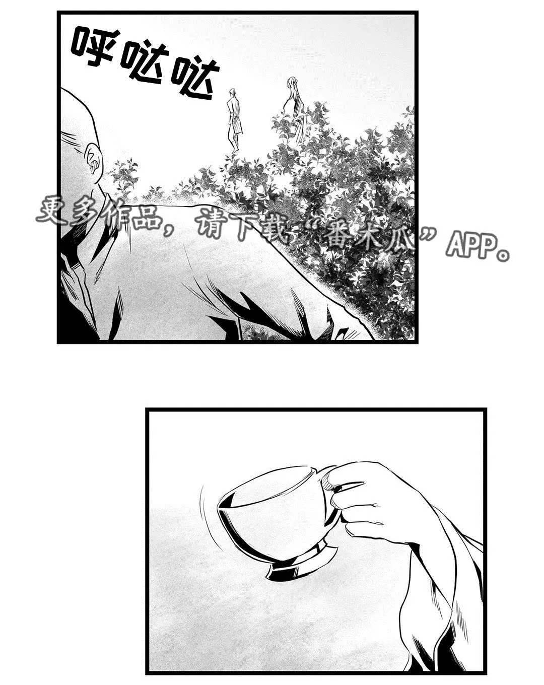 巫师与王子漫画漫画,第36章：隐瞒着什么18图