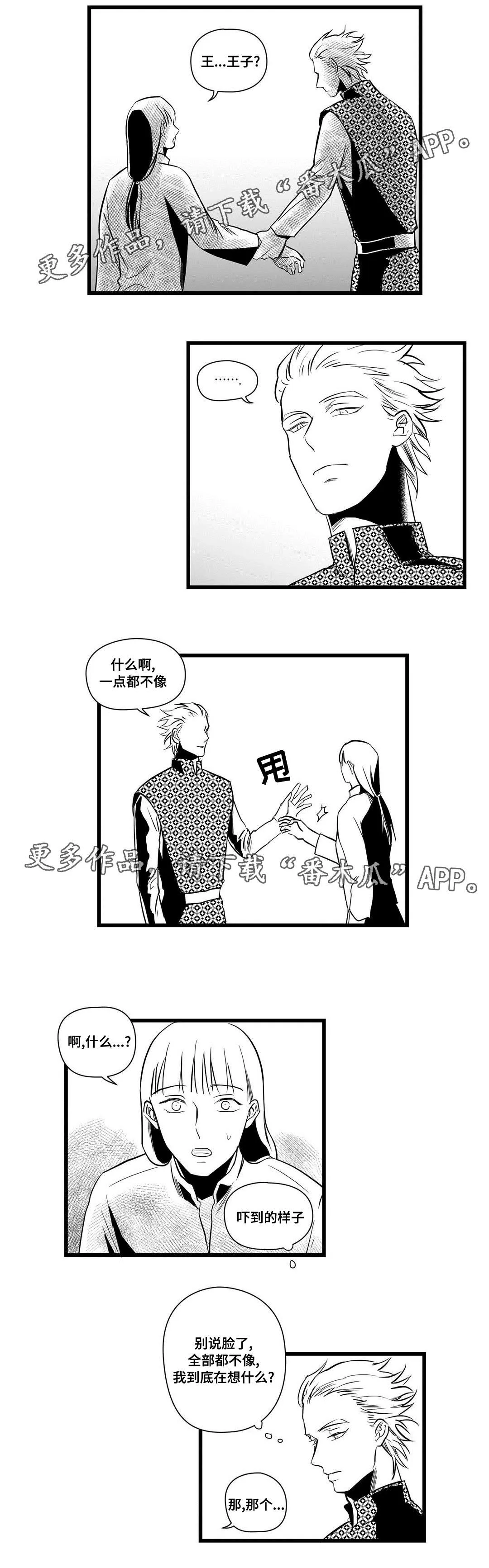 巫师与王子漫画漫画,第15章：迷住1图