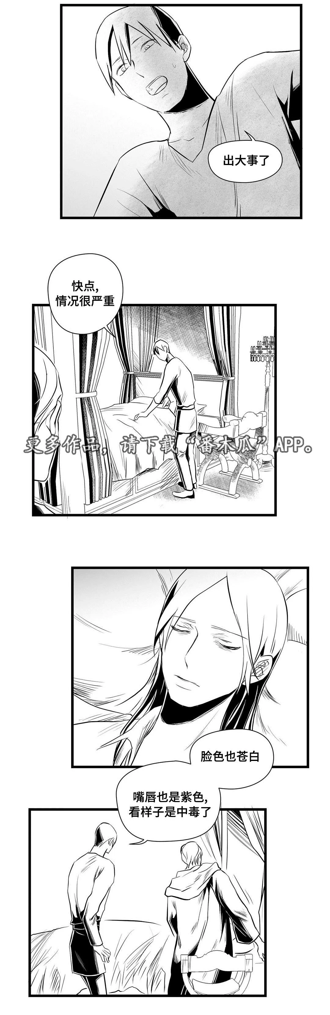 巫师与王子的二三事漫画,第32章：猜想14图