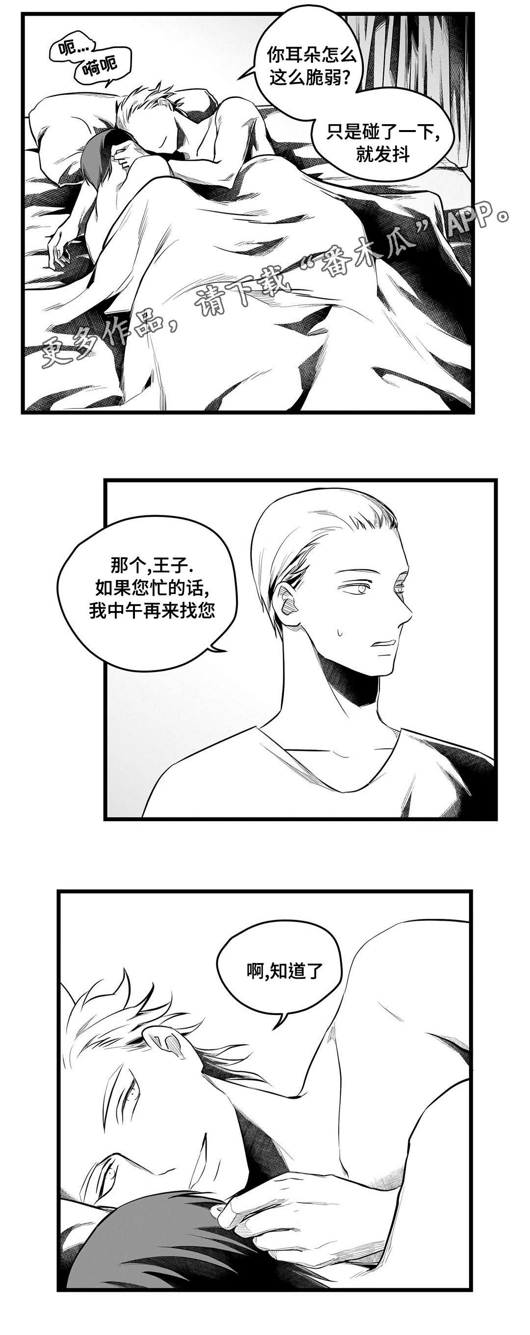 巫师与王子漫画漫画,第53章：无法理解4图