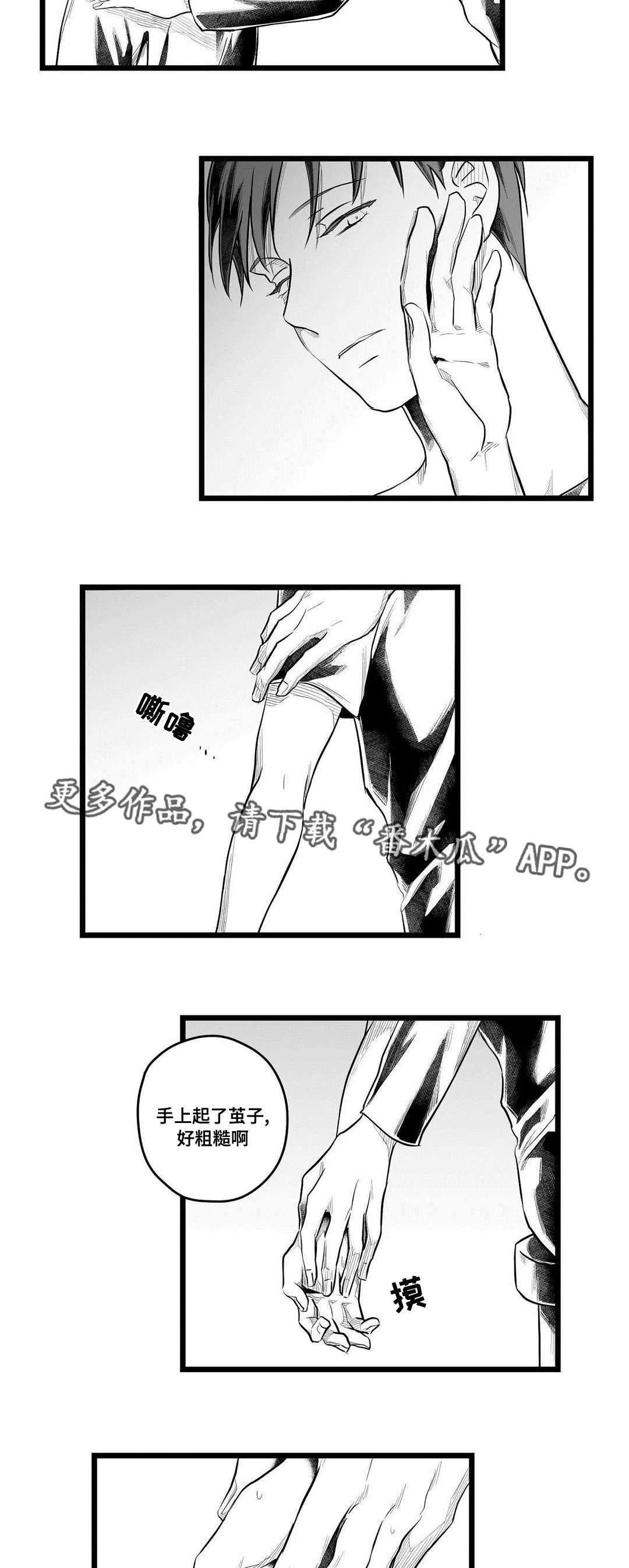 巫师与王子漫画免费观看漫画,第60章：谢意17图