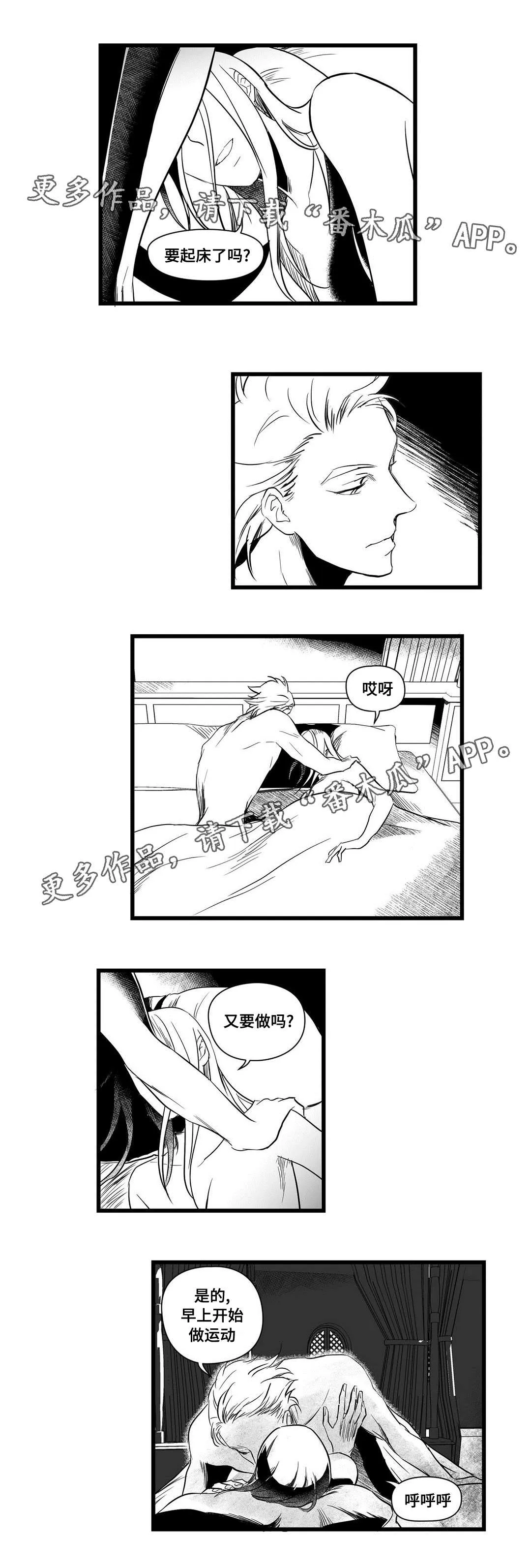 巫师与王子漫画漫画,第13章：四王子4图