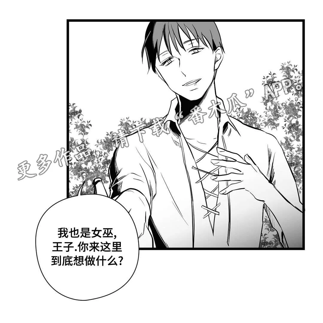 巫师与吸血鬼漫画漫画,第24章：诡异14图