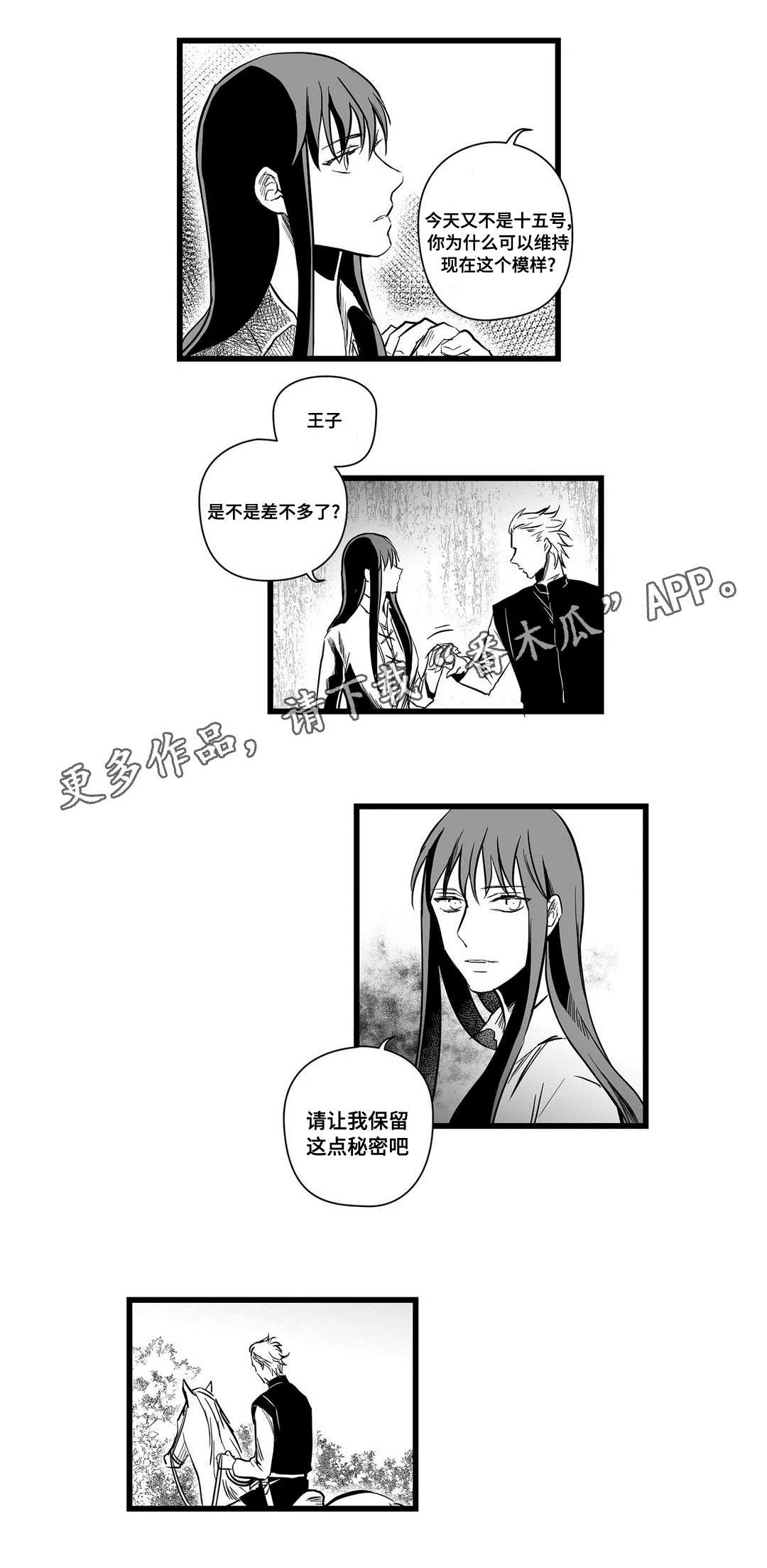 巫师与王子漫画漫画,第11章：秘密4图