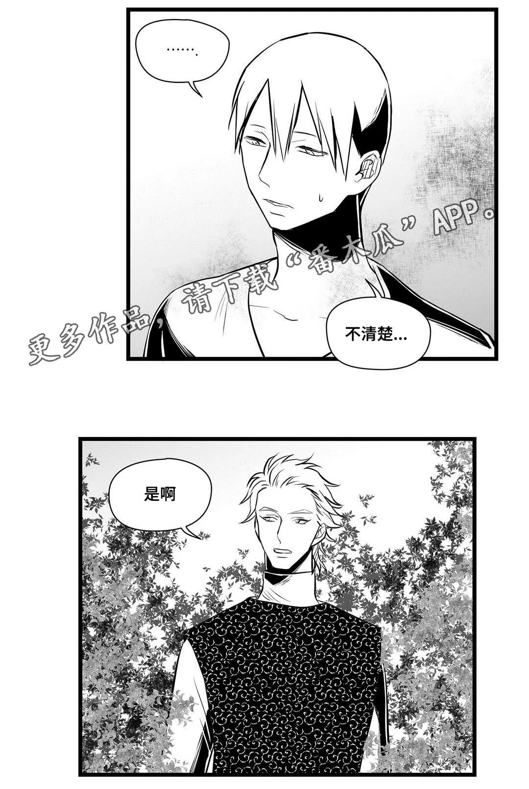 巫师与王子的二三事漫画,第32章：猜想17图