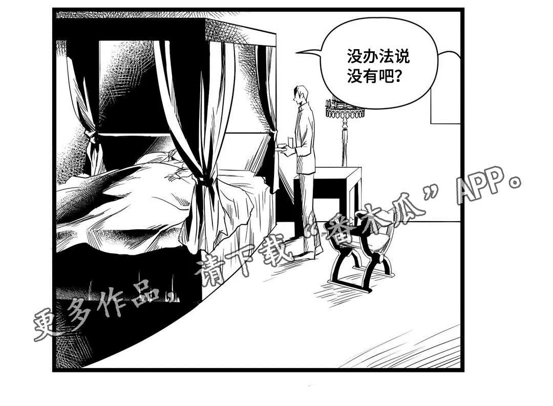 巫师与王子漫画漫画,第13章：四王子16图