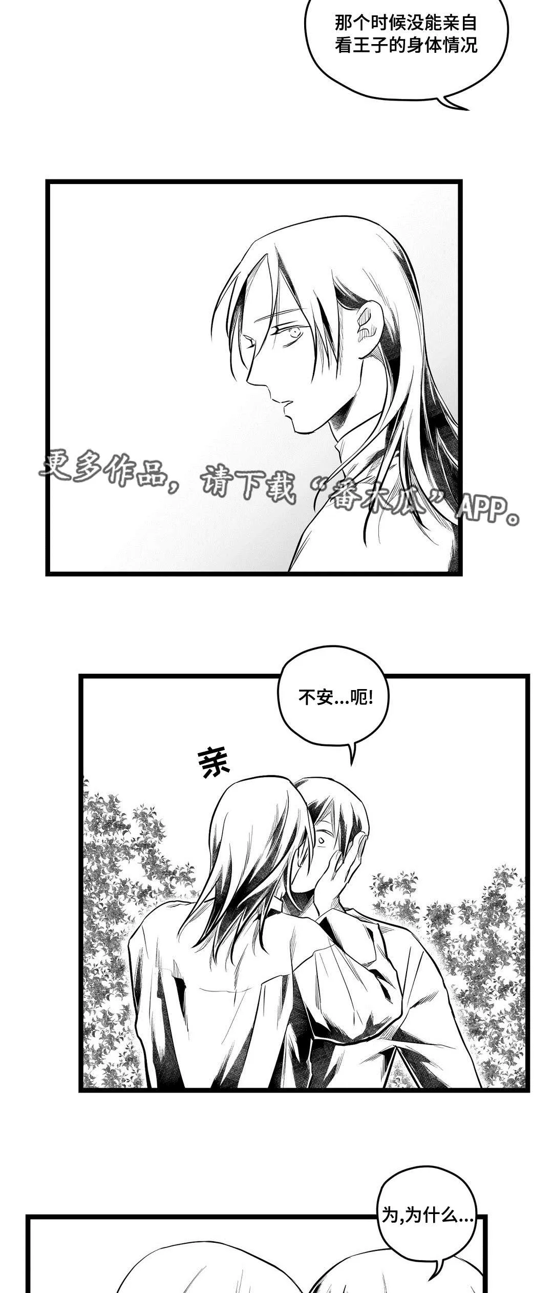 人鱼王子和巫师漫画漫画,第70章：关心5图