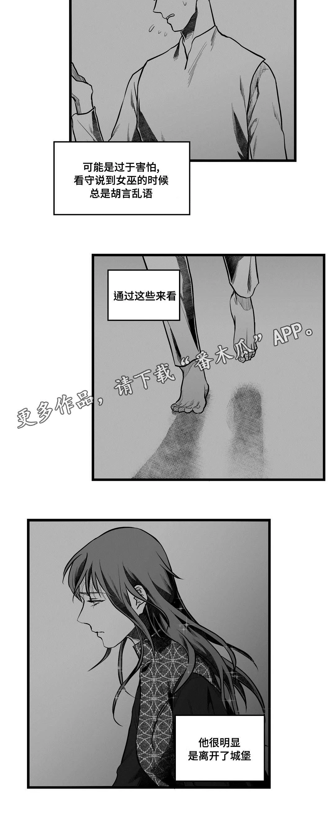 巫师与王子漫画漫画,第57章：山雨欲来9图