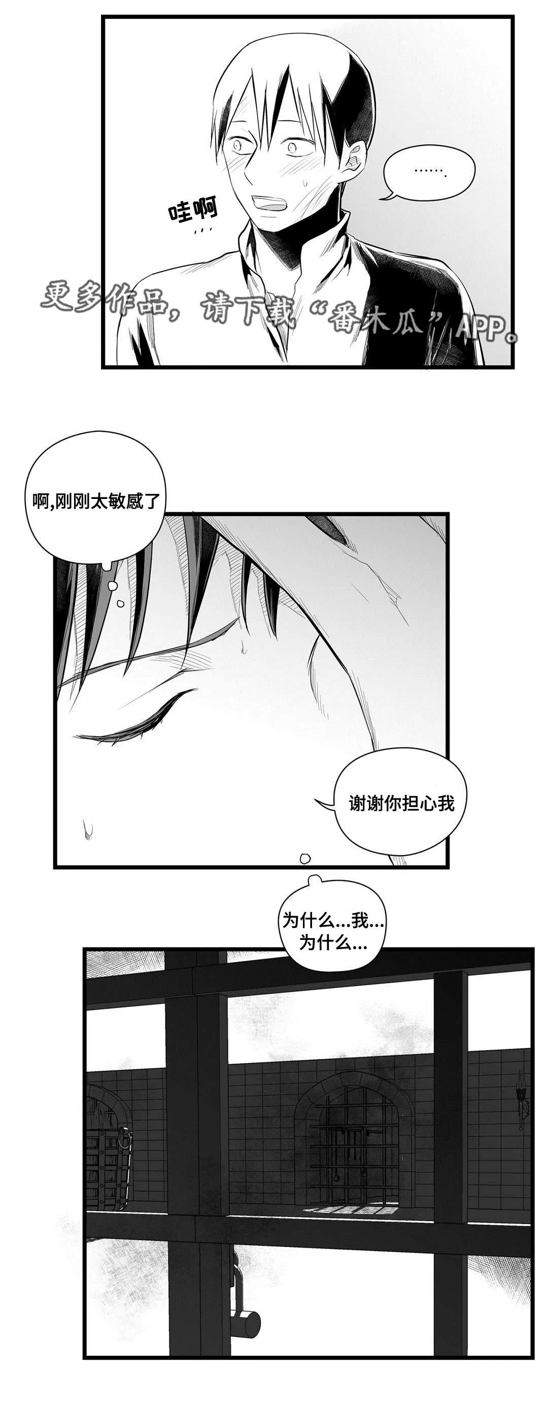 巫师与王子漫画漫画,第42章：葬礼11图