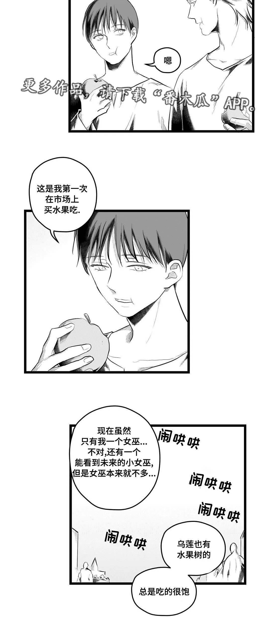 巫师与吸血鬼漫画漫画,第93章：终章8图