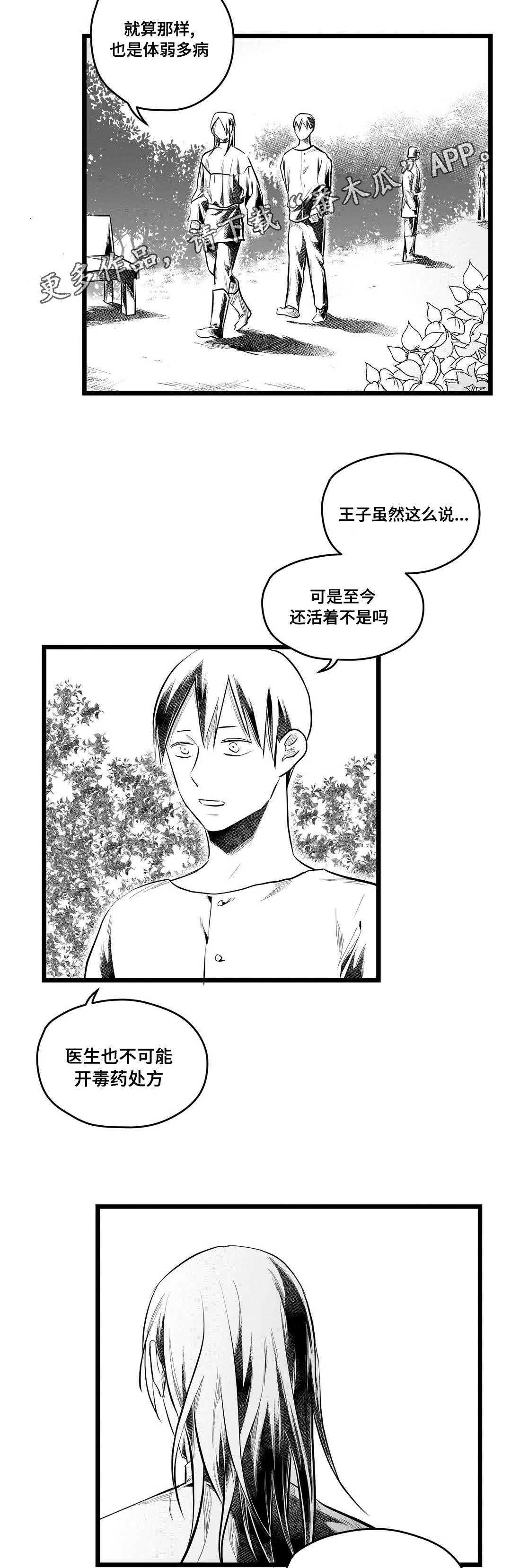 人鱼王子和巫师漫画漫画,第70章：关心4图