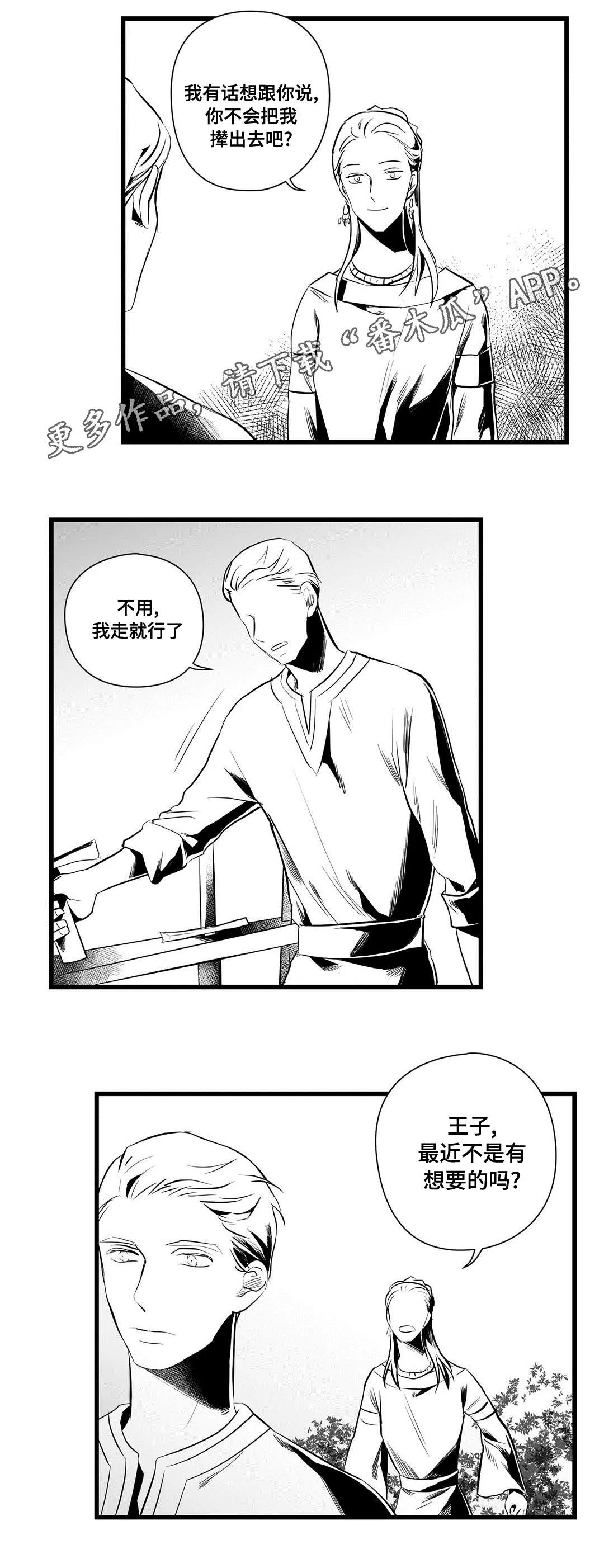 巫师与王子漫画漫画,第36章：隐瞒着什么12图