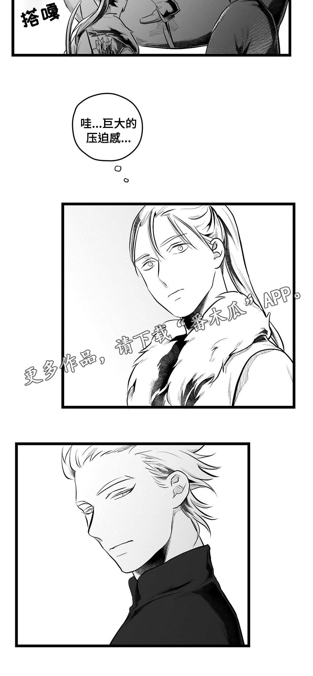 巫师漫画图片漫画,第66章：发现12图