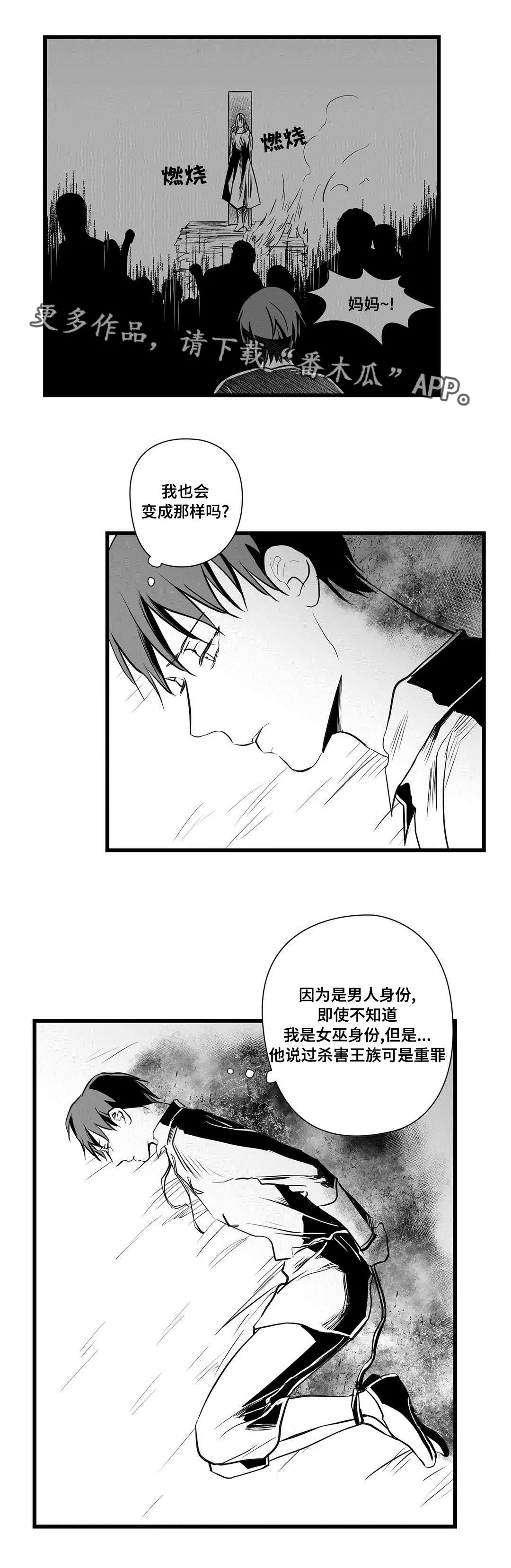 巫师2王子杀不杀漫画,第29章：抛弃4图