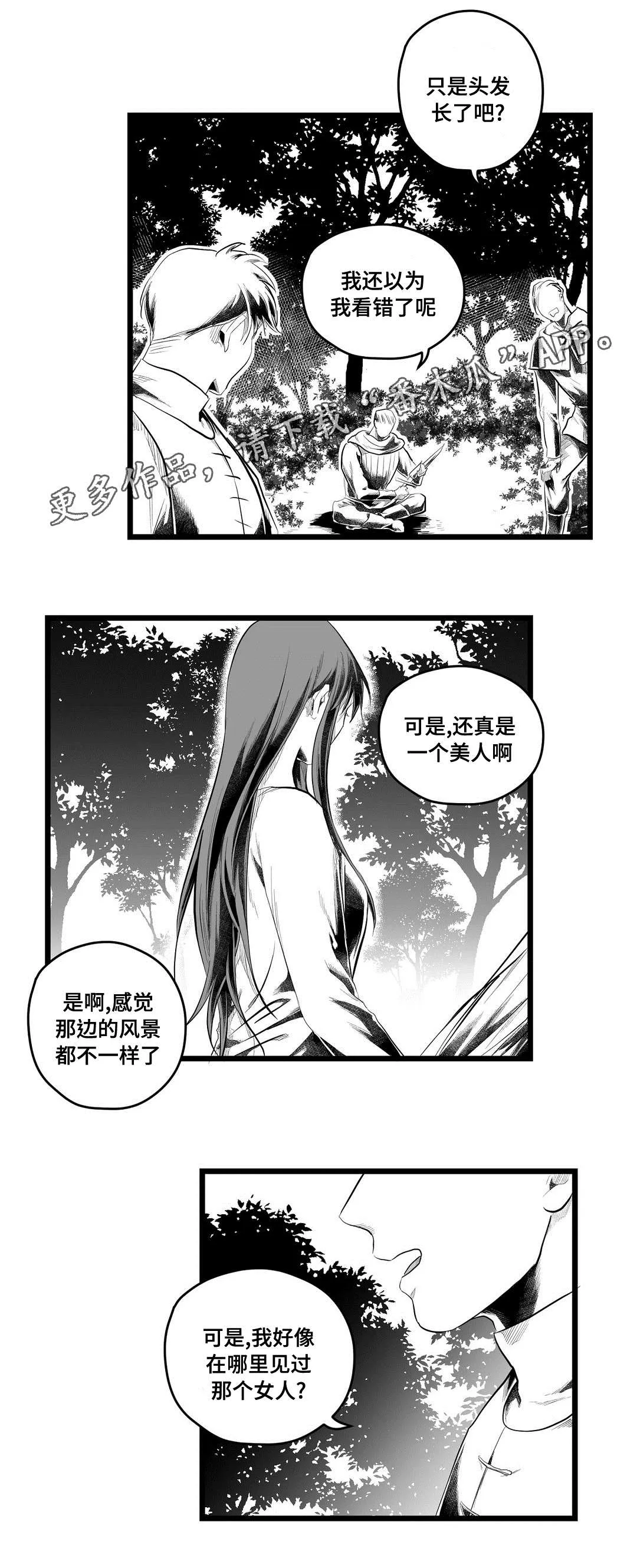 巫师与王子漫画漫画,第84章：十五13图