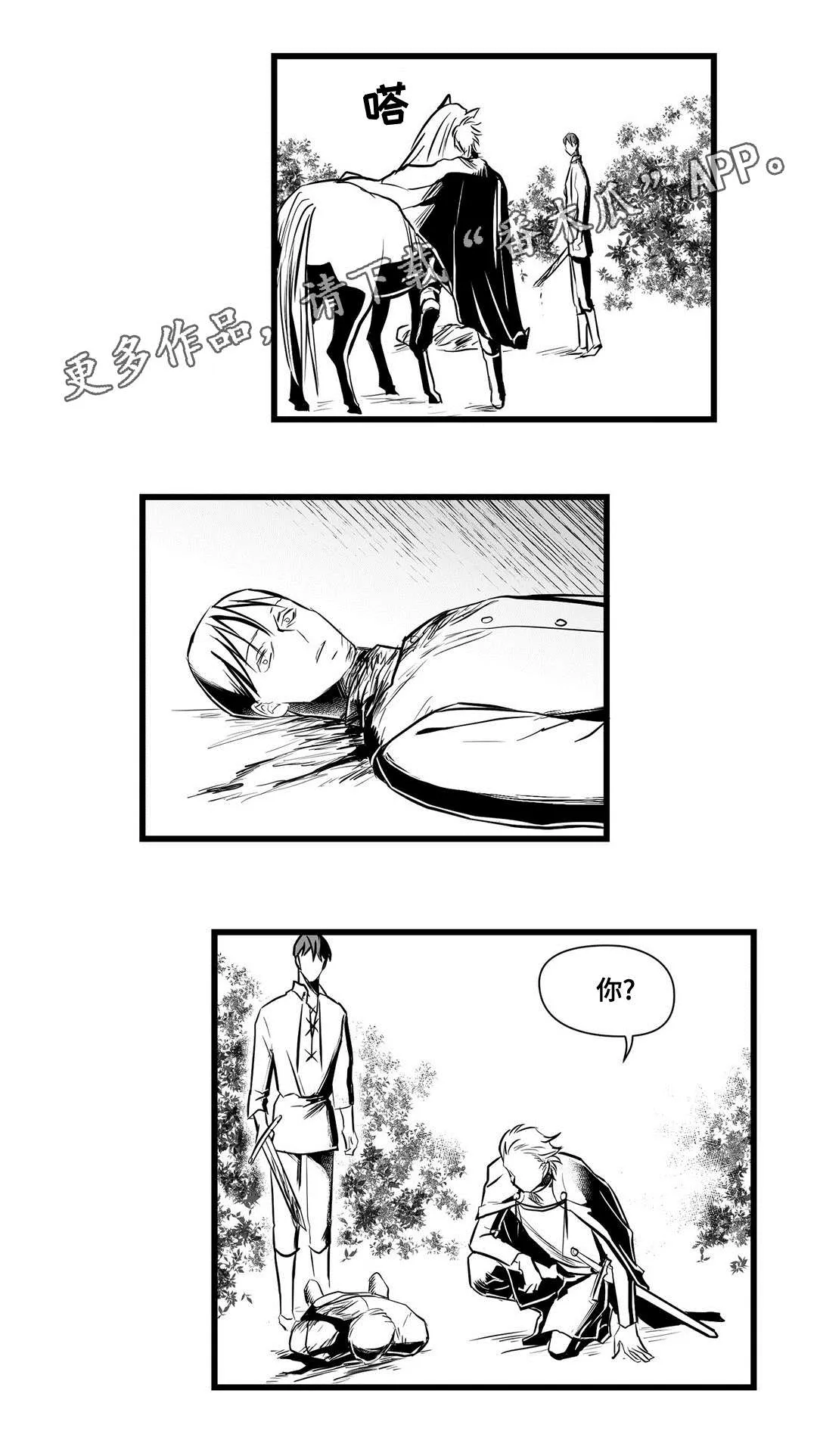 国王与王子的漫画漫画,第27章：犯人12图