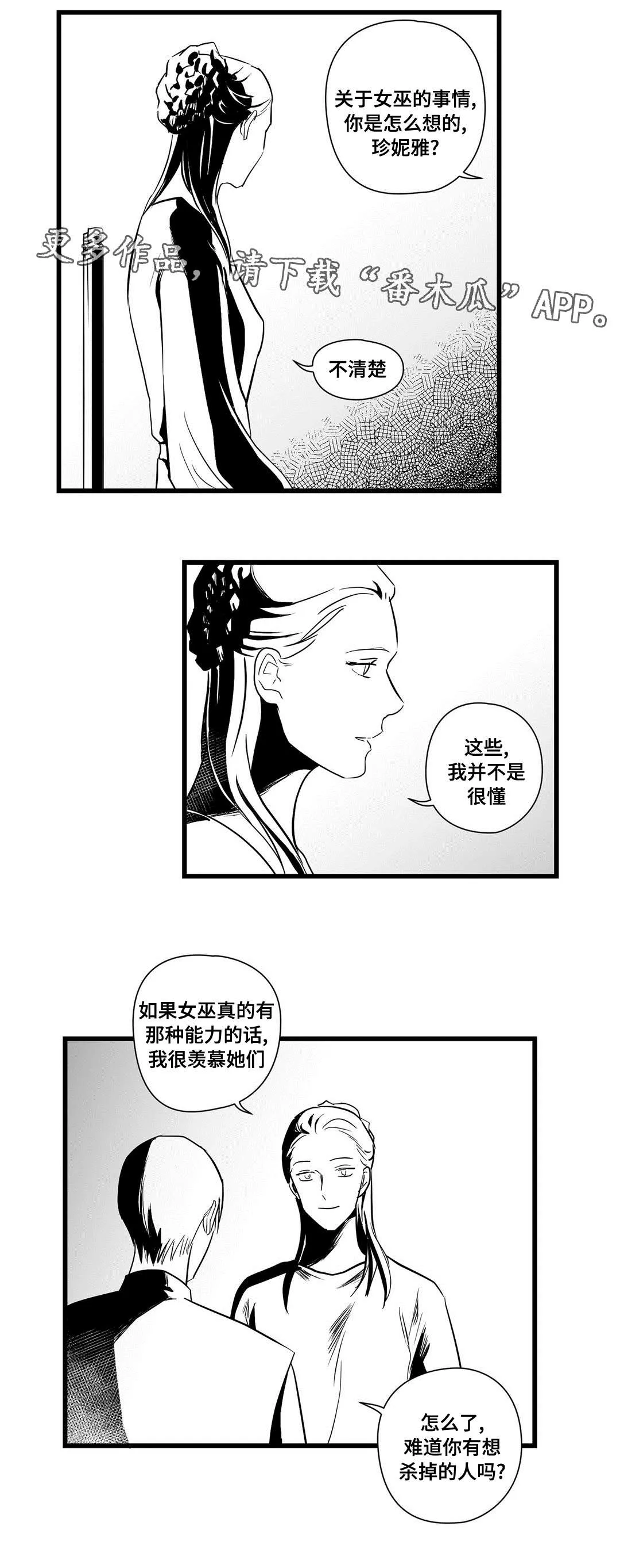 巫师与王子漫画漫画,第22章：确认17图