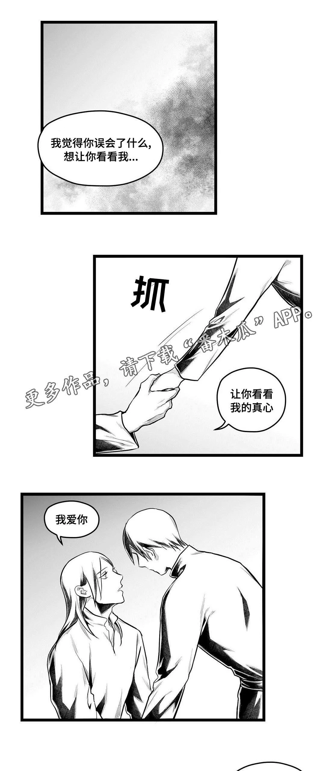 巫师与王子漫画免费观看漫画,第60章：谢意7图