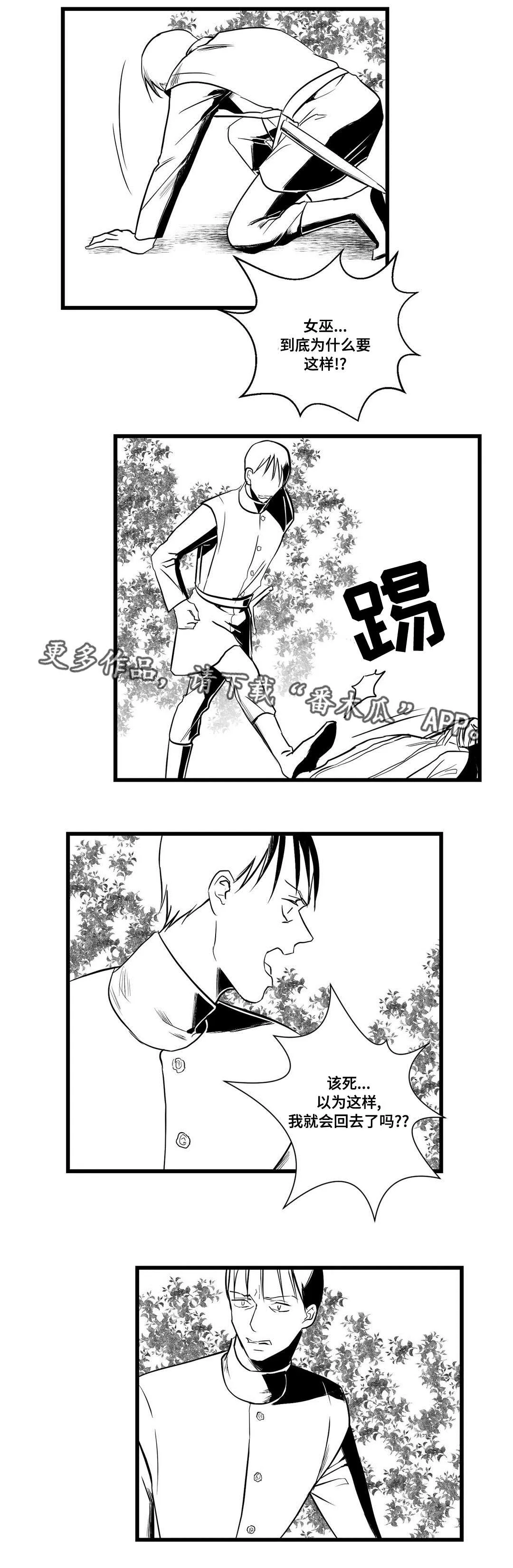 巫师与王子的二三事漫画,第26章：吓唬11图