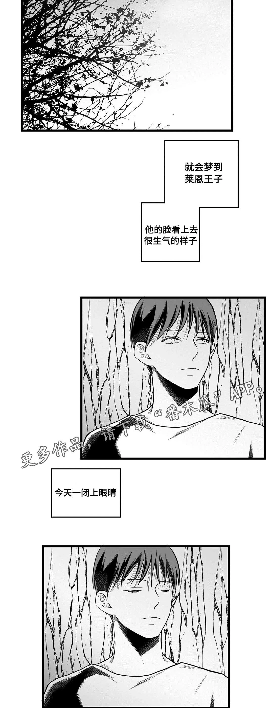 巫师与王子漫画漫画,第59章：错误14图