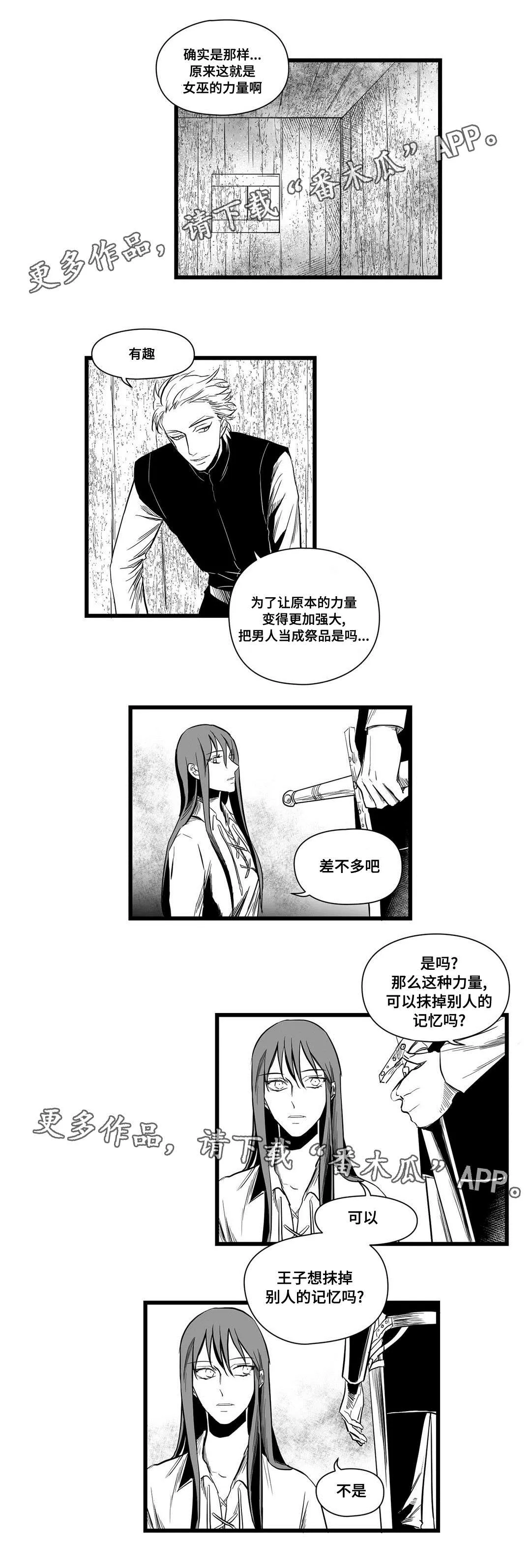 巫师与王子漫画漫画,第10章：真面目11图