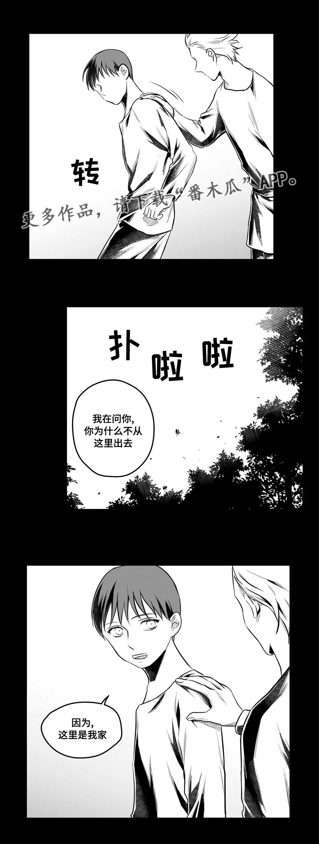 巫师与王子漫画漫画,第53章：无法理解8图