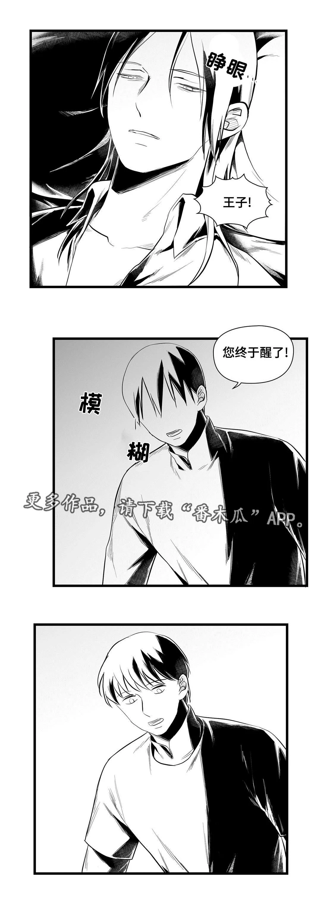 巫师与王子的二三事漫画,第41章：何去何从4图