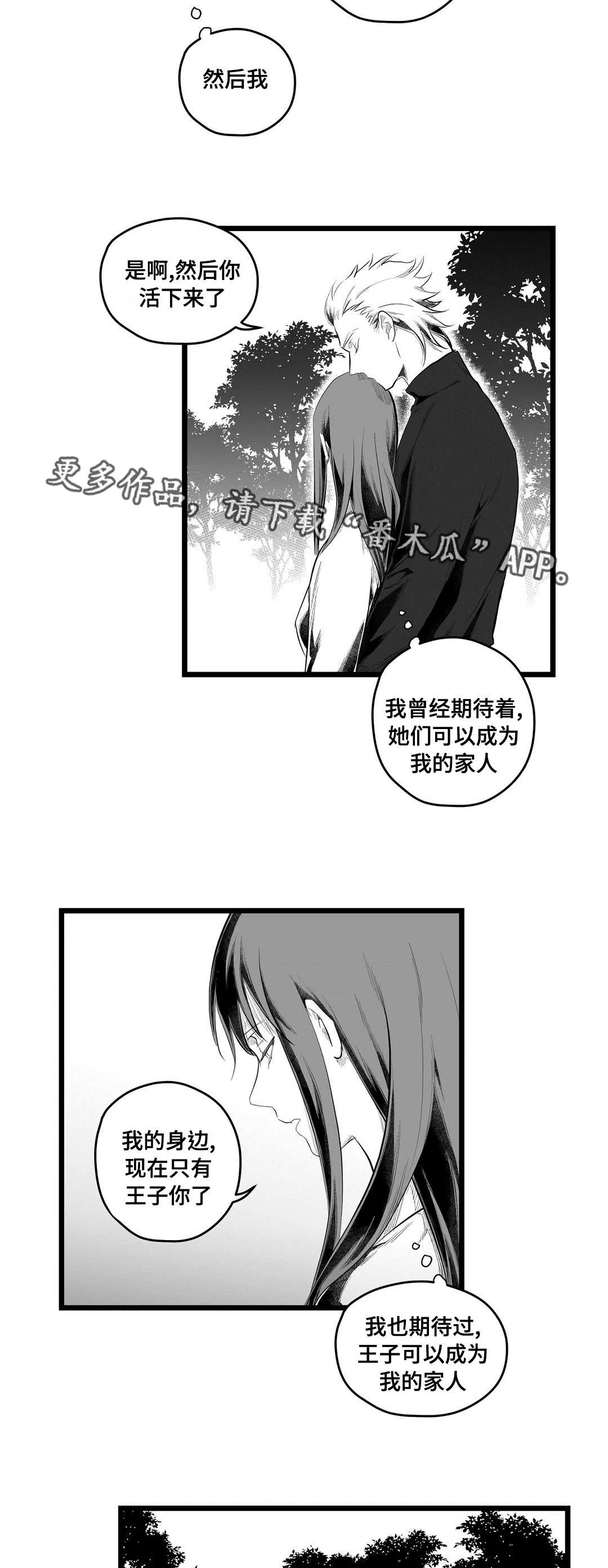 巫师与王子漫画漫画,第84章：十五11图