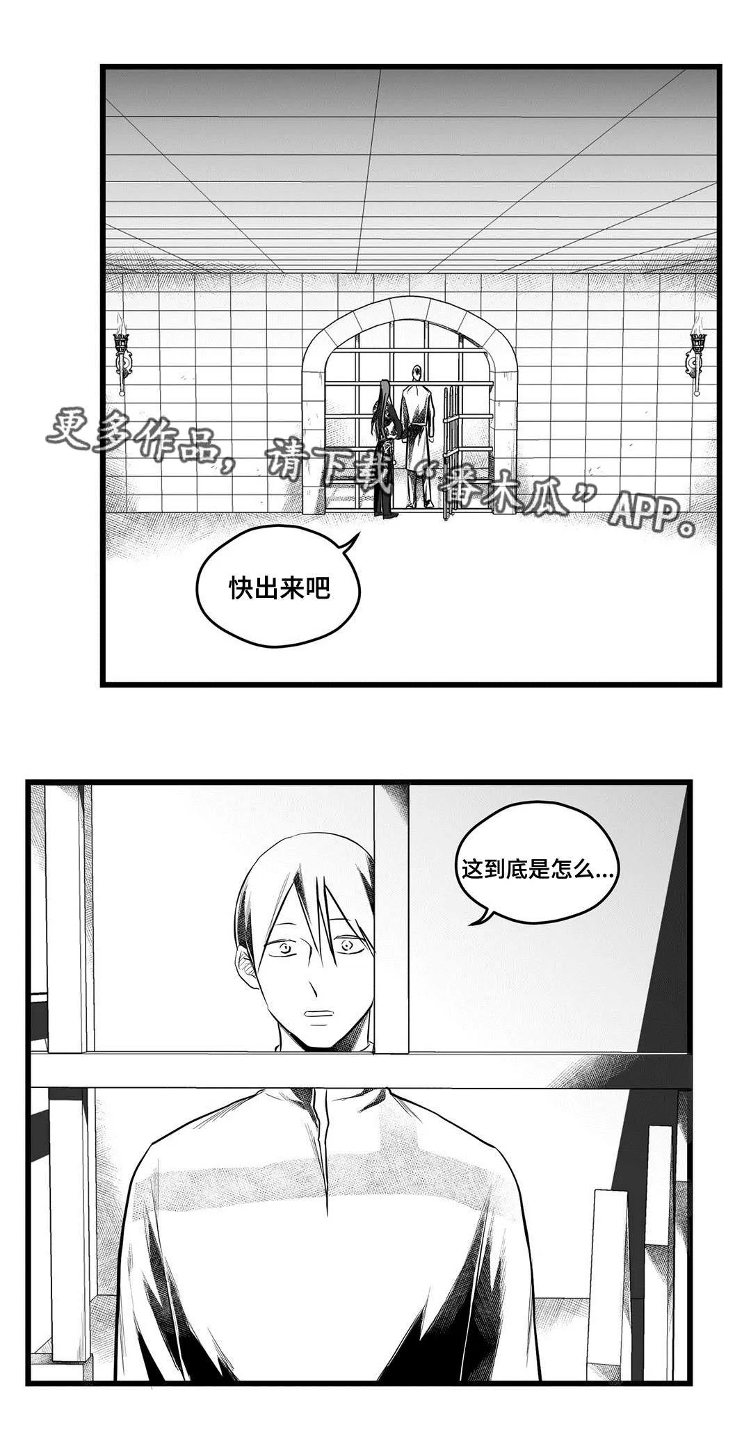 巫师与王子漫画漫画,第54章：出逃6图