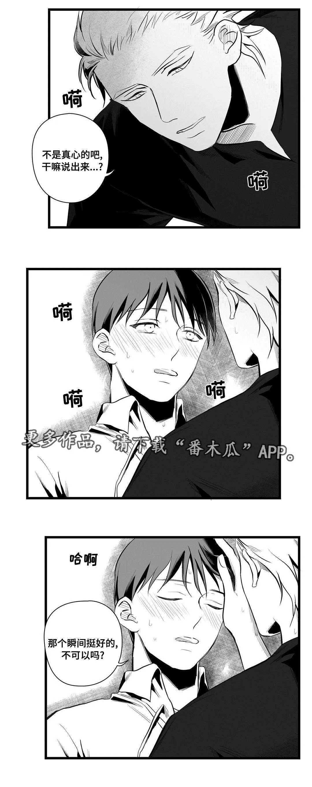 巫师与狮子漫画漫画,第39章：喜欢你13图