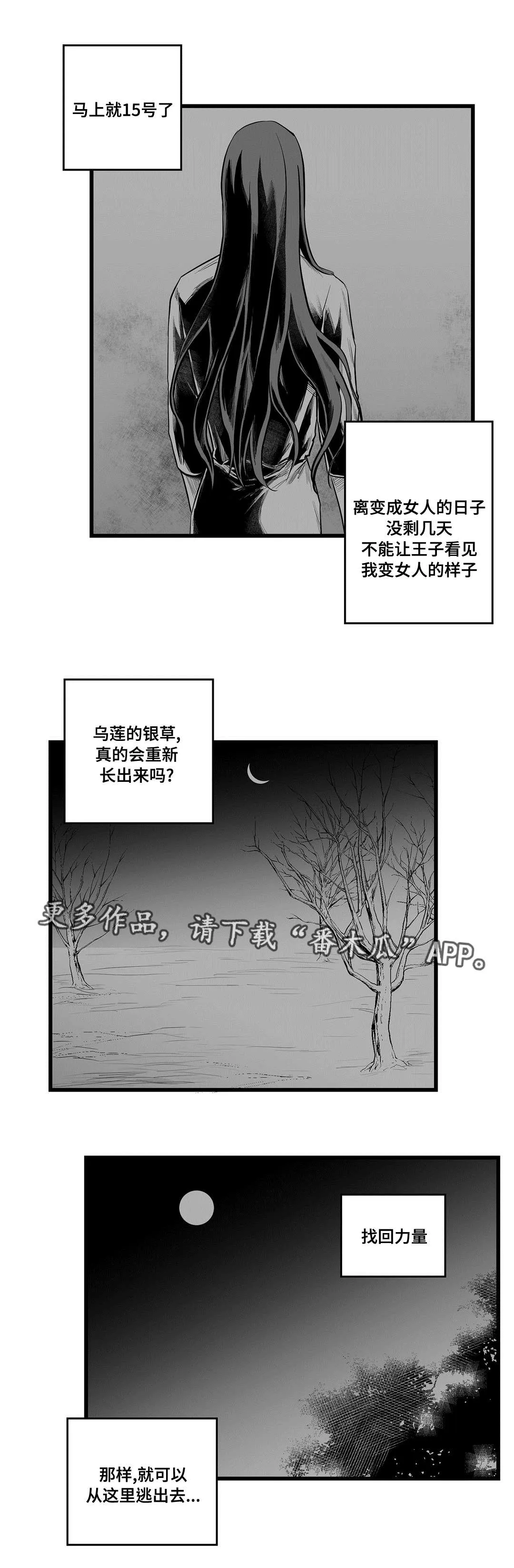 巫师与王子的二三事漫画,第41章：何去何从14图