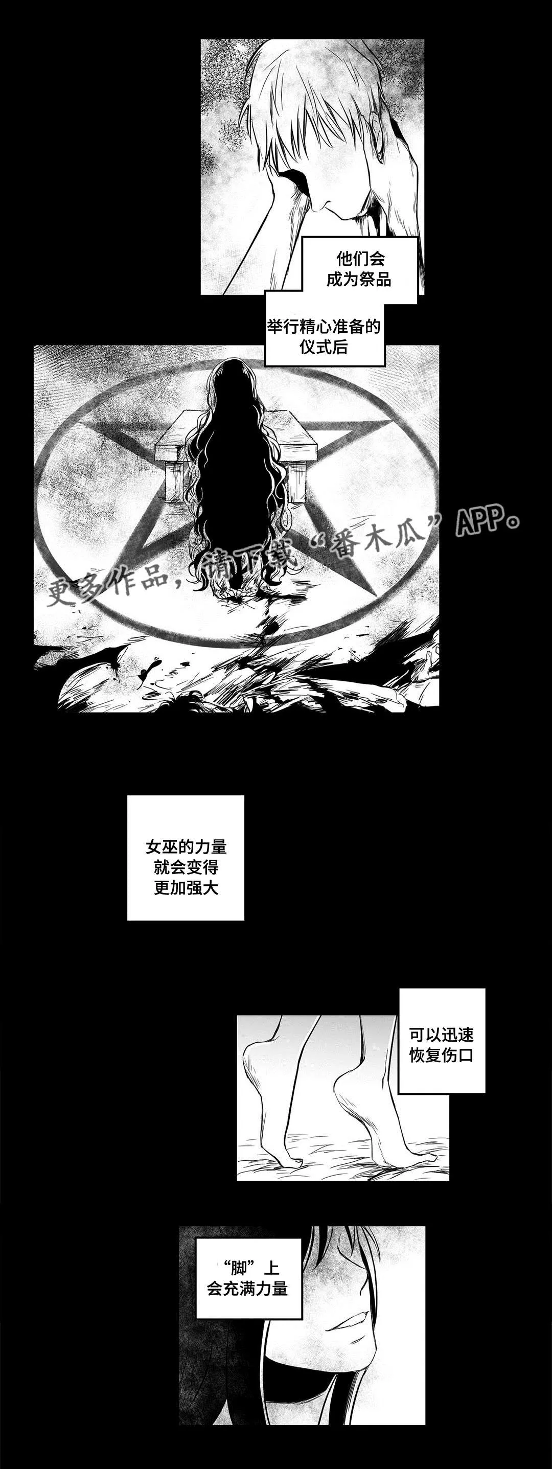 巫师与王子漫画漫画,第10章：真面目9图