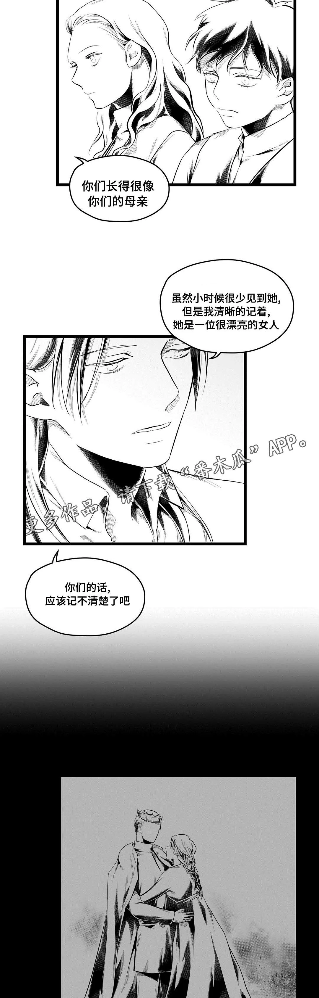 王子与巫师的二三漫画,第76章：故事8图