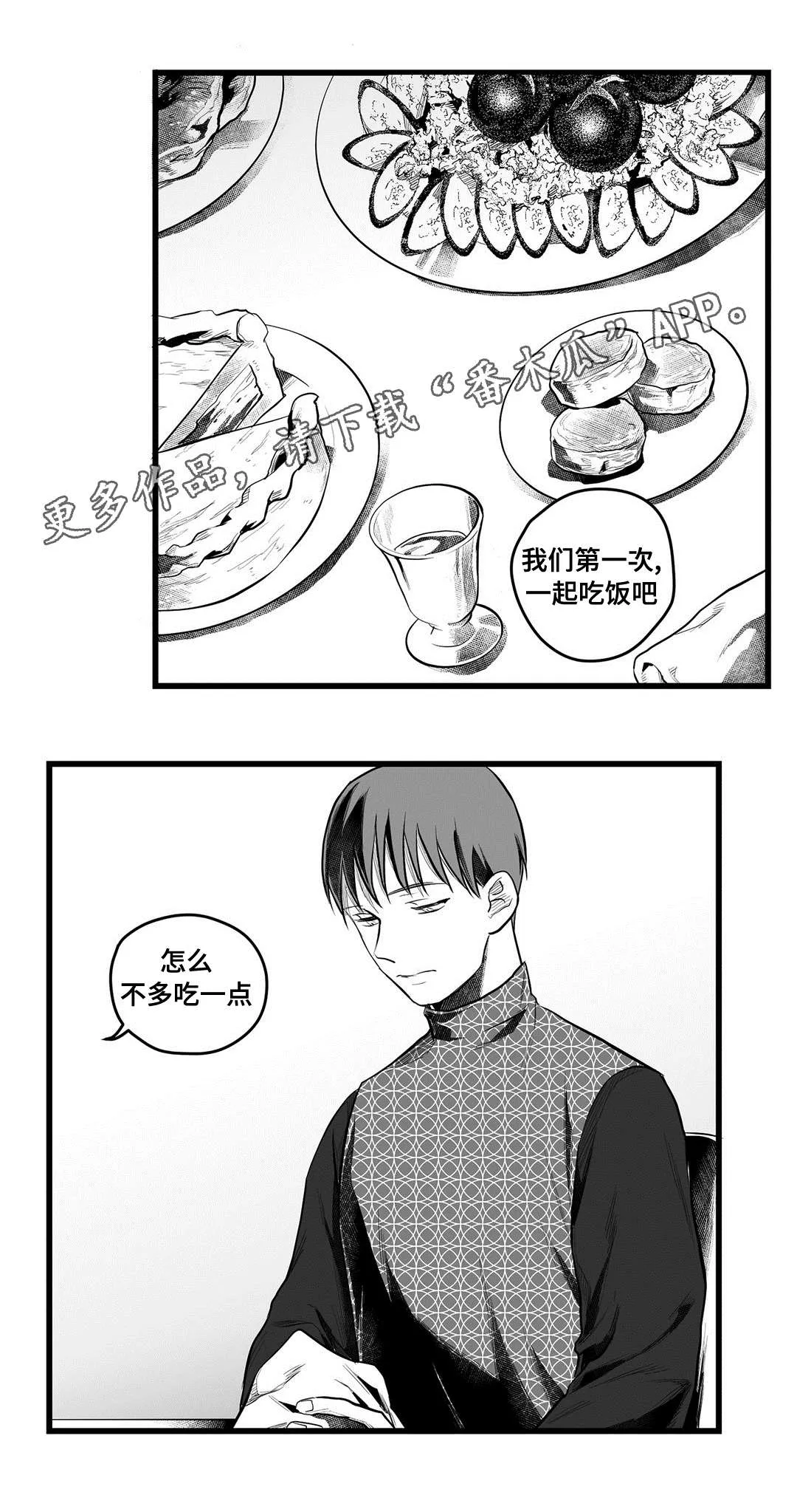 巫师与王子漫画漫画,第53章：无法理解17图