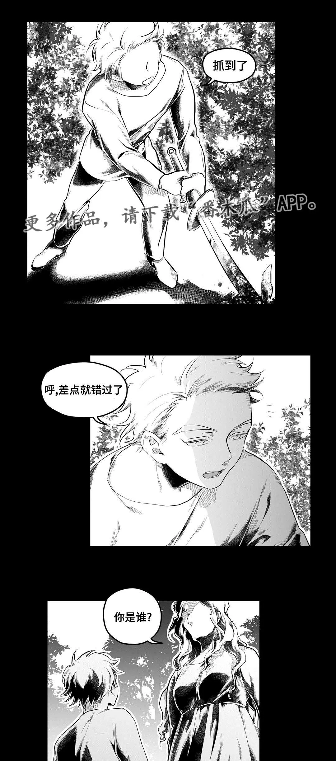 巫师与吸血鬼漫画漫画,第88章：带他走21图