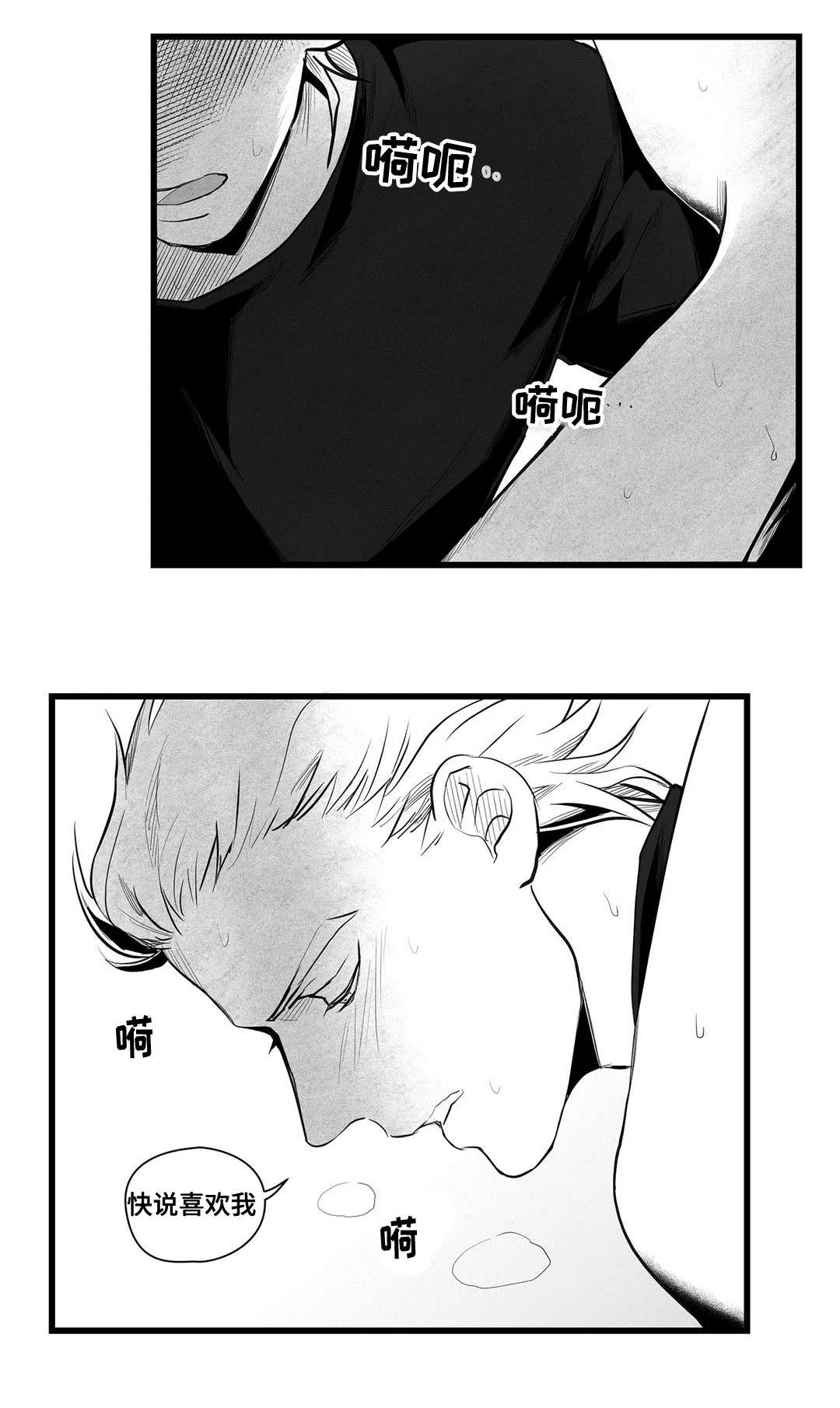 巫师与狮子漫画漫画,第39章：喜欢你9图