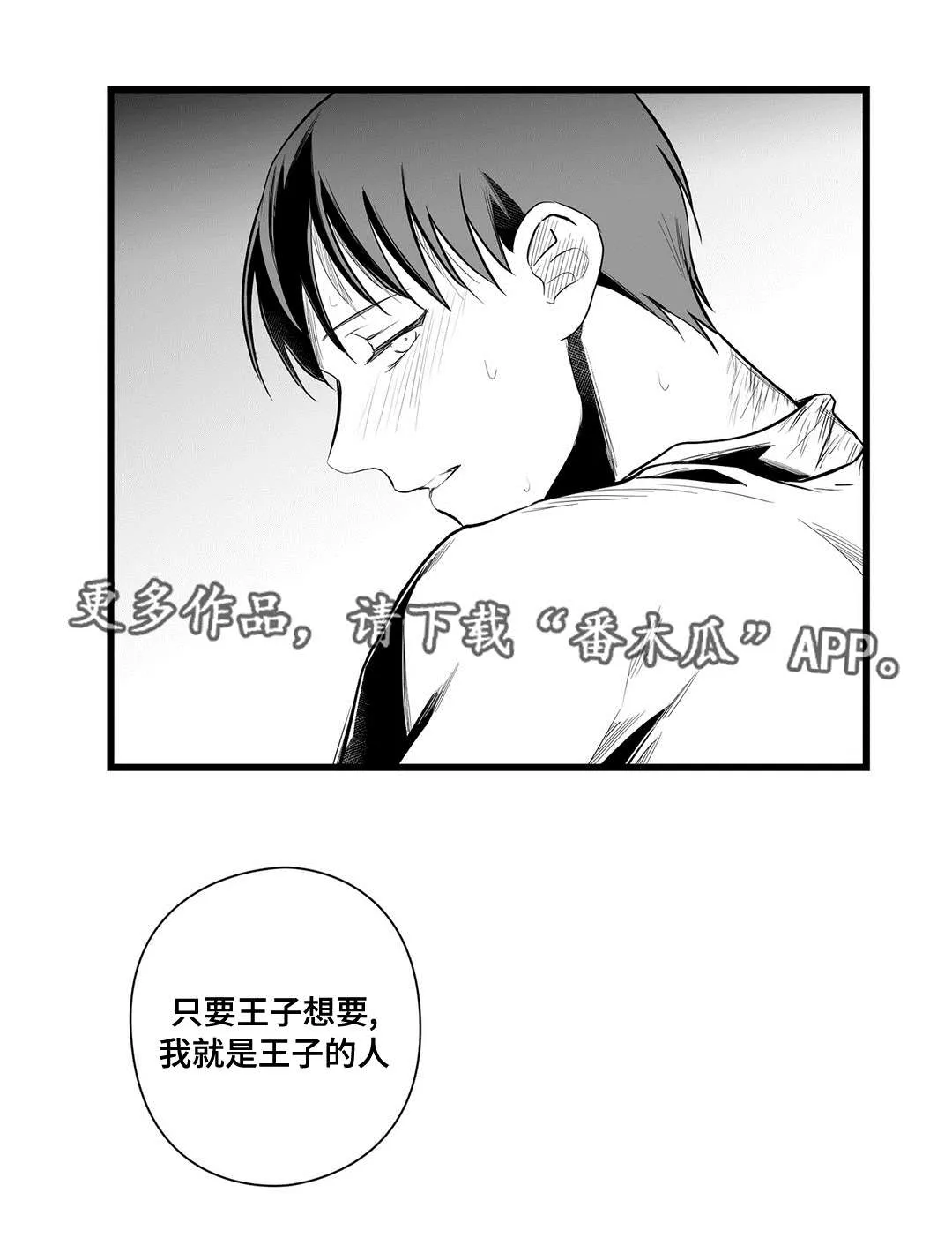 巫师与王子漫画漫画,第40章：在一起20图