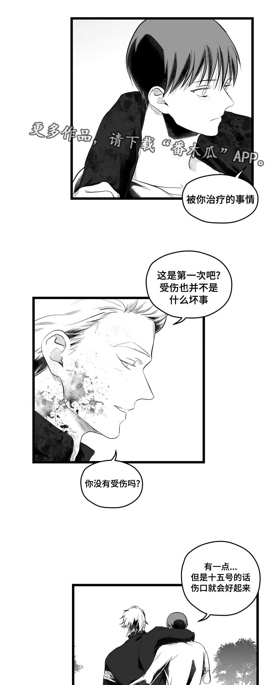 巅峰巫师漫画哪里看漫画,第91章：未来10图