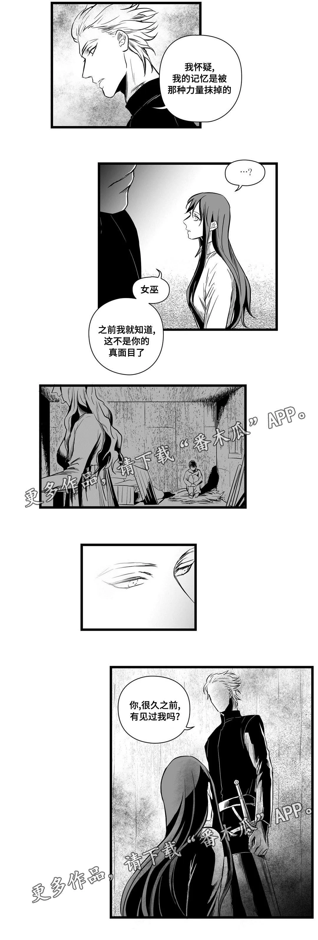 巫师与王子漫画漫画,第10章：真面目12图