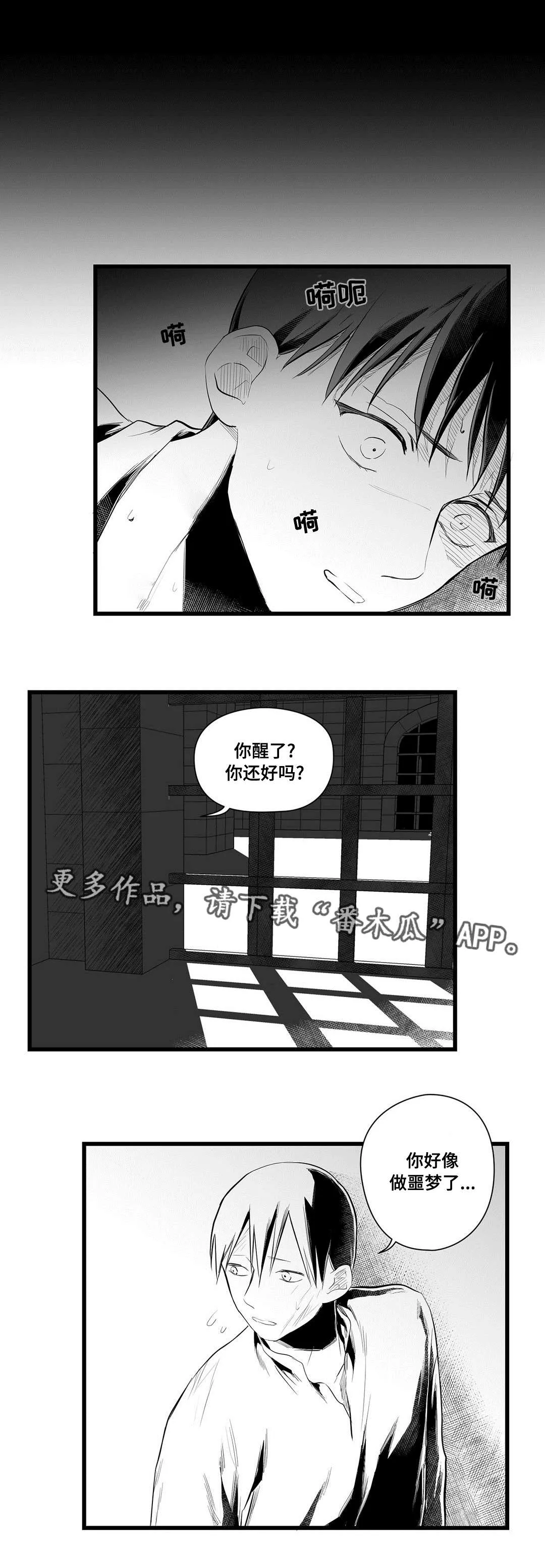 巫师与王子漫画漫画,第42章：葬礼9图