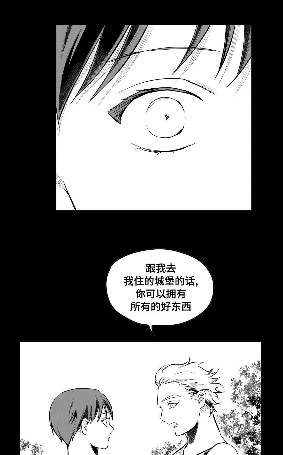 巫师与王子漫画漫画,第69章：野心17图