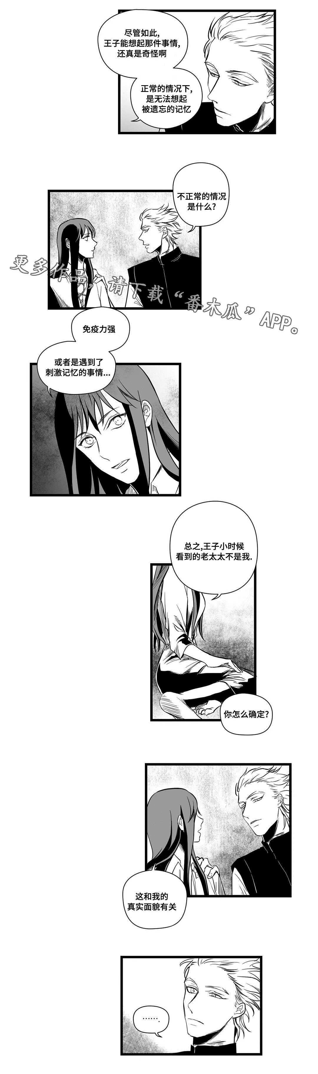 巫师与王子漫画漫画,第11章：秘密3图